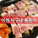 덕구네복돈이 이미지