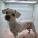 토곡동물병원 이미지