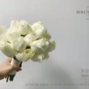 르우엘 네이버블로그