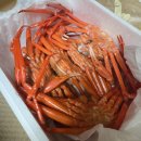 스위치온 4주 성공 후기 2탄(체지방, 근육 변화, 식단, 운동, 부작용, 세달 뒤....)