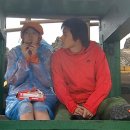 파티포파 이미지