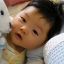 하엘 - 창원시 진해구 충장로597번길 14 | 하엘
