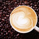 바리스타2급 이미지