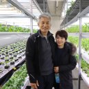 농업회사법인(주)온샘 이미지