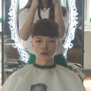 합성동292 이미지