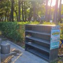 명지오션시티해안제방로 | 부산 명지 가볼만한곳 갈맷길산책과 명지철새탐조대 무료주차팁