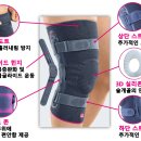 메디도트 이미지