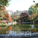 색감 이미지