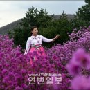 삼삼오오목장 이미지