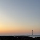 행복한우리소 이미지