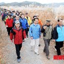 우포늪생명길 이미지