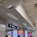 칼국쭈 | [지난일기] 건강을 찾아서..🍀(면접, 로이킴 콘서트, 의왕 방문기)