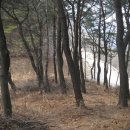 2007-주011 Daum카페