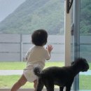 멍온스테이 이미지