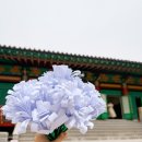 신암어린이집 이미지