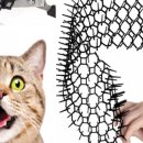 독한고양이 이미지