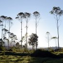 장미농원 이미지