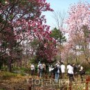 종로-종로-종로-종-202 이미지