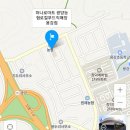 로컬푸드에 출하되는 꽃 입니다~