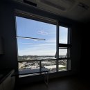 마곡호랑이부동산공인중개사사무소 | 마곡사무실 마곡지구의 미래를 여는 마곡호랑이부동산