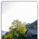 적천사 - 1735 | 적천사