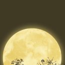 라온아뜰리에 이미지
