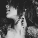 Dream to t 이미지