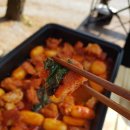 대관령솔내음오토캠핑장 이미지