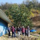 용운목장 이미지