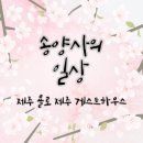 욜로 제주 게스트하우스 이미지