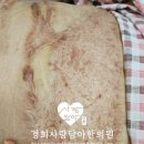 경희사랑담아한의원 이미지