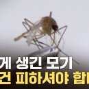 파주, 김포에 이어 고양시 말라리아 경보 발령 이미지