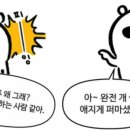 주)일상마켓