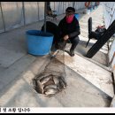 아산낚시 이미지