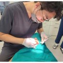 밝은결치과의원 이미지