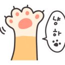 뽀득냥 이미지