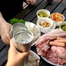 청주 옥화자연휴양림 내돈내산 후기 진달래 2호