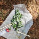 오름 | 제주도 오름 추천 제주시 구좌읍 송당리, 거슨새미오름. 안돌오름. 밧돌오름 후기