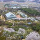 일월꽃식물원 이미지