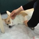 라젯트성인전문음악학원 이미지
