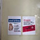 파파스 그라운드 이미지