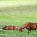 (주)백마보링 네이버블로그