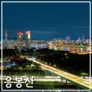 성동세무서 공중화장실 | 응봉산 팔각정 야경 주차장 서울 야경 명소 추천