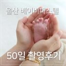 울산 베이비파스텔 50일 촬영후기