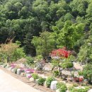 왕피천하늘담 이미지