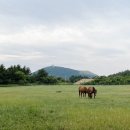 한림성