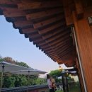 [화성 향남 카페] 분위기 깡패, 한옥 베이커리 카페 '더 포레스트퀸' 방문 후기 🏰✨