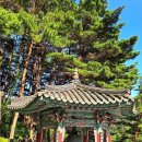 방어산 마애약사여래삼존입상 | 신비로운 역사의 숨결, 함안 방어산 마애사에서 찾은 평온