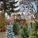 서울 용산 가볼 만한 곳 용산 어린이정원 크리스마스 포토존 설치 야간개장, 예약 방법