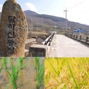 미소지은농장 | 부여 굿뜨래몰 유기농 쌀 달하산 백미 2kg 집밥 찐후기